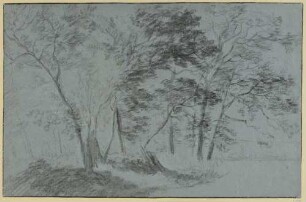 Baumreiche Landschaft