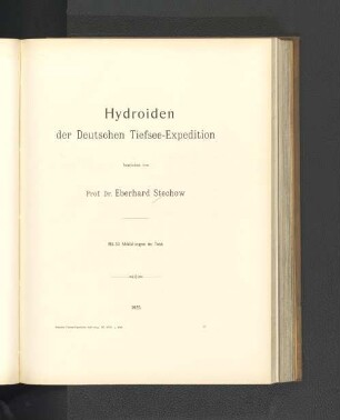 Hydroiden der Deutschen Tiefsee-Expedition.