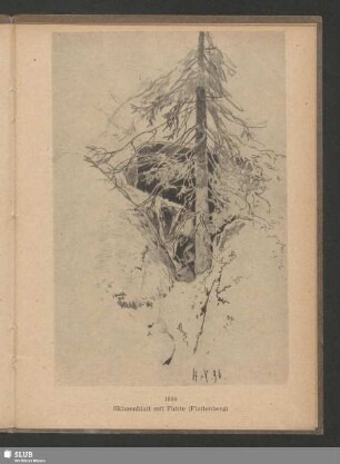 1890, Skizzenblatt mit Fichte (Plattenberg)