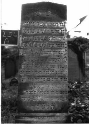 Grabstein 1254 (Index: 100104471) Material: Sandstein Zustand: leicht angewittert Maße HxBxT: 205x54x28 cm Beschreibung: obeliskenartige Stele Besonderheit: kulturhistorisch wertvoll / hist.-wiss. Gründe (Vorbeter): Grabstein 1254A