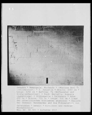 Mastaba des Ti — Relief
