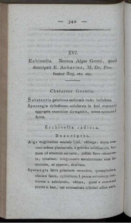 XVI. Echinella. Novum Algae Genus.