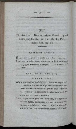 XVI. Echinella. Novum Algae Genus.