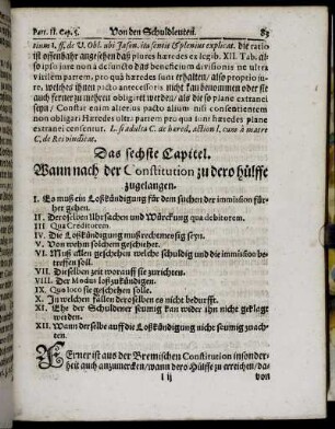 Das sechste Capitel. Wann nach der Constitution zu dero hülffe zugelangen.