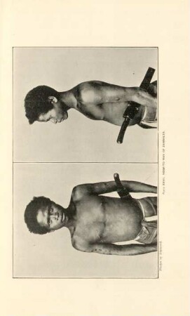 Plate XXVII. Negrito man of Zambales