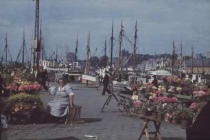 Reisefotos Norwegen. Blumenmarkt in Hafen von Bergen