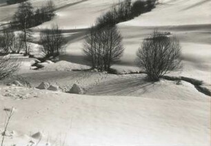 Osterzgebirge. Ochsenbachtal unterhalb Sadisdorf