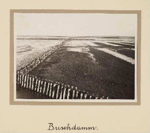Westküste Landgewinnung - Buschlahnung