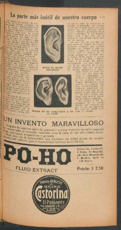 La parte más inútil de nuestro cuerpo