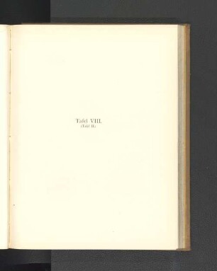 Tafel VIII. (Tafel II.)