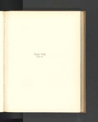Tafel VIII. (Tafel II.)