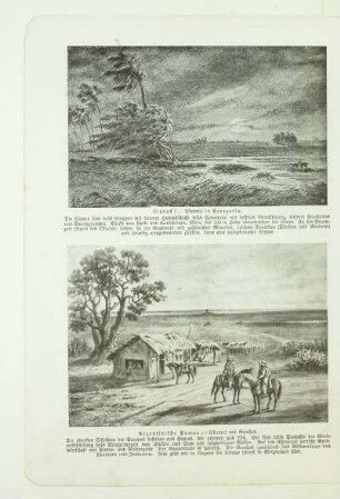 Argentinische Pampa (=Ebene) mit Gauchos