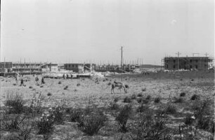 Koloniezentrum im Bau (Libyen-Reise 1938)