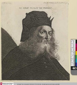 Il Gran Nogay Di Persia