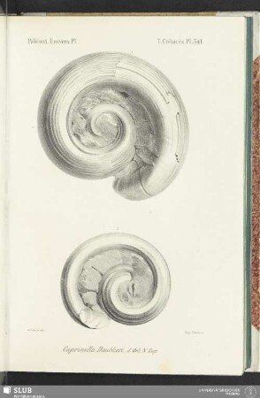 Pl. 541