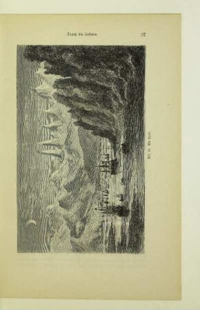 Ein Fjord