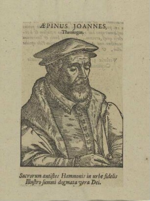Bildnis des Aepinus Joannes