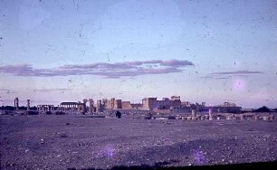Palmyra Früh: Bl. [nach] Bel-Tp.