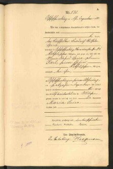 Standesamtsbuch der Stadt Aschaffenburg: Geburten 365/1900 - 184/1901