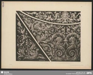 Decorations-Motive zum allgemeinen Gebrauch. Ornamentik mit Frauenkopf und Vogelgestalt