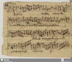 [Anonymus:] Jubilate Deo