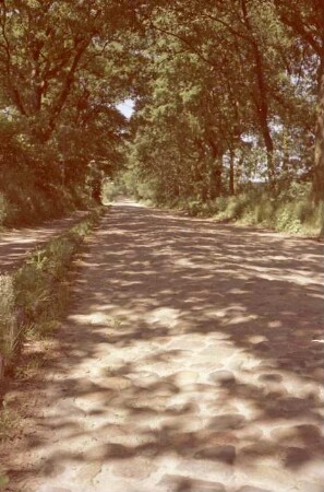 Ohe: Hobeken: Pflasterstraße nach Sachsenwaldau: links Fußgängerweg, beiderseits Bäume