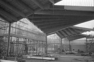 Bau der Nancyhalle.