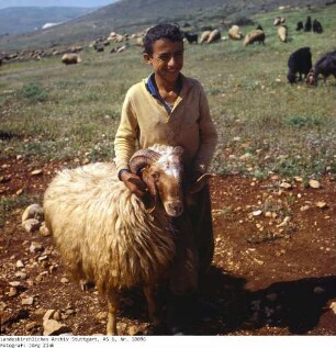 Israel: Galilaea