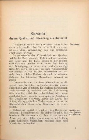 Salzschlirf, dessen Quellen und Bedeutung als Kurmittel.