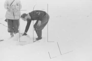Wordie-Bucht : 2 Jungbären (Dr. Wilhelm Dege)