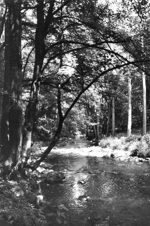 Löbau-Bellwitz. Löbauer Wasser im Skalatal