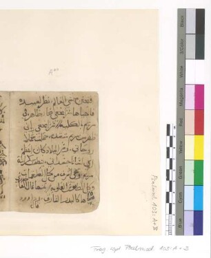 [Psalmodia] : Fragm. copt. Pischoi Psalmod. 103