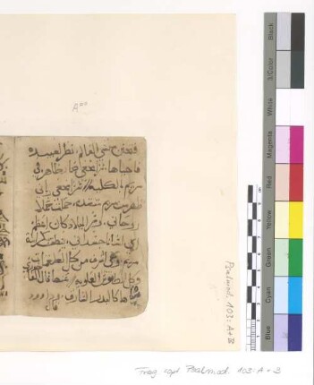 [Psalmodia] : Fragm. copt. Pischoi Psalmod. 103