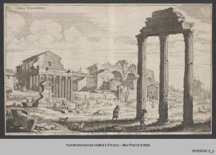 Campo Vaccino (Forum Romanum) in Rom