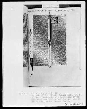 Bibel — Initiale P (aulus apostolus), darin Apostel Paulus, Folio 441verso