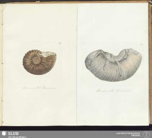 157 164