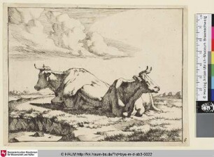 [Deux vaches qui reposent; Zwei liegende Kühe, links vorne ein Tümpel]