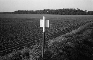 In Stubbendorf/Mecklenburg-Vorpommern