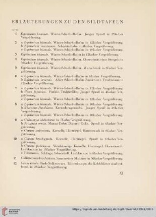 Erläuterungen zu den Bildtafeln