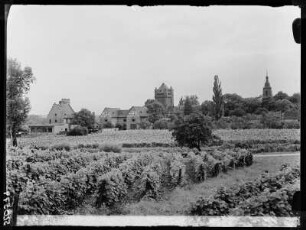 Eltville / Rhein