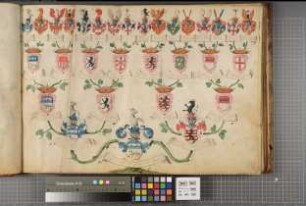 Proband: Wolff-Metternich, Wilhelm Hermann Ignatz Ferdinand Hieronymus von; Vater: Wolff-Metternich, Degenhard Adolph von; Mutter: Hoensbroich, Margaretha Alexandrina von: Paderborn, Domkapitel