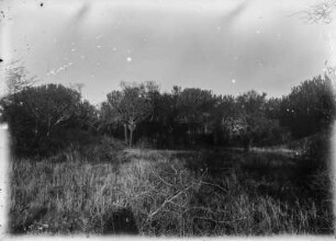 Steppenlandschaft : Ostafrikanische Steppenlandschaft. In der Bildmitte ein Mann