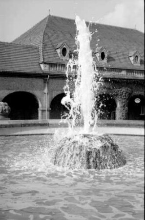 Bad Nauheim: Quellsprudel