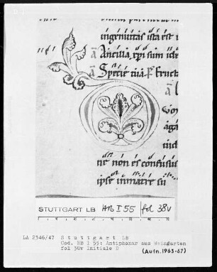 Monastisches Antiphonale — Initiale D, Folio 38verso