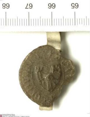 Die Brüder Werner, Wetzel, Eberhard, Neidhard (Nithard) und Wilhelm von Buchenau sowie Georg (Jorge) und Gottschalk der Jüngere von Buchenau, beku...