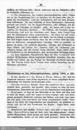 [Beitrag zur Käfer-Fauna Spaniens] : Fortsetzung