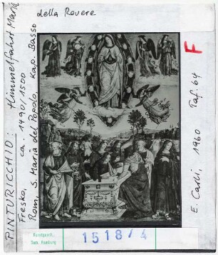 Pinturicchio: Himmelfahrt Mariä. Rom, Santa Maria del Popolo