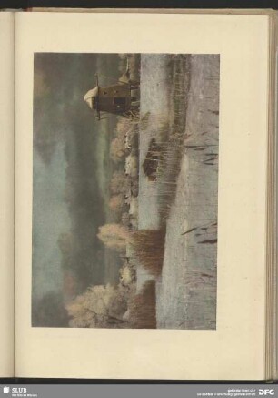 Rauhreif im Fischland