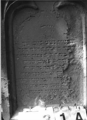 Grabstein 31 (Index: 99787091) Zustand: rechter Rand der Inschrift verwittert, sonst gut erhalten Maße HxBxT: 207x61x21 cm: Grabstein 31A