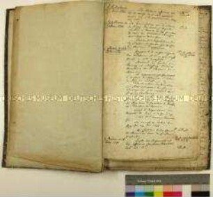 Tagebuch eines preußischen Gesandten am kaiserlichen Hof in Wien